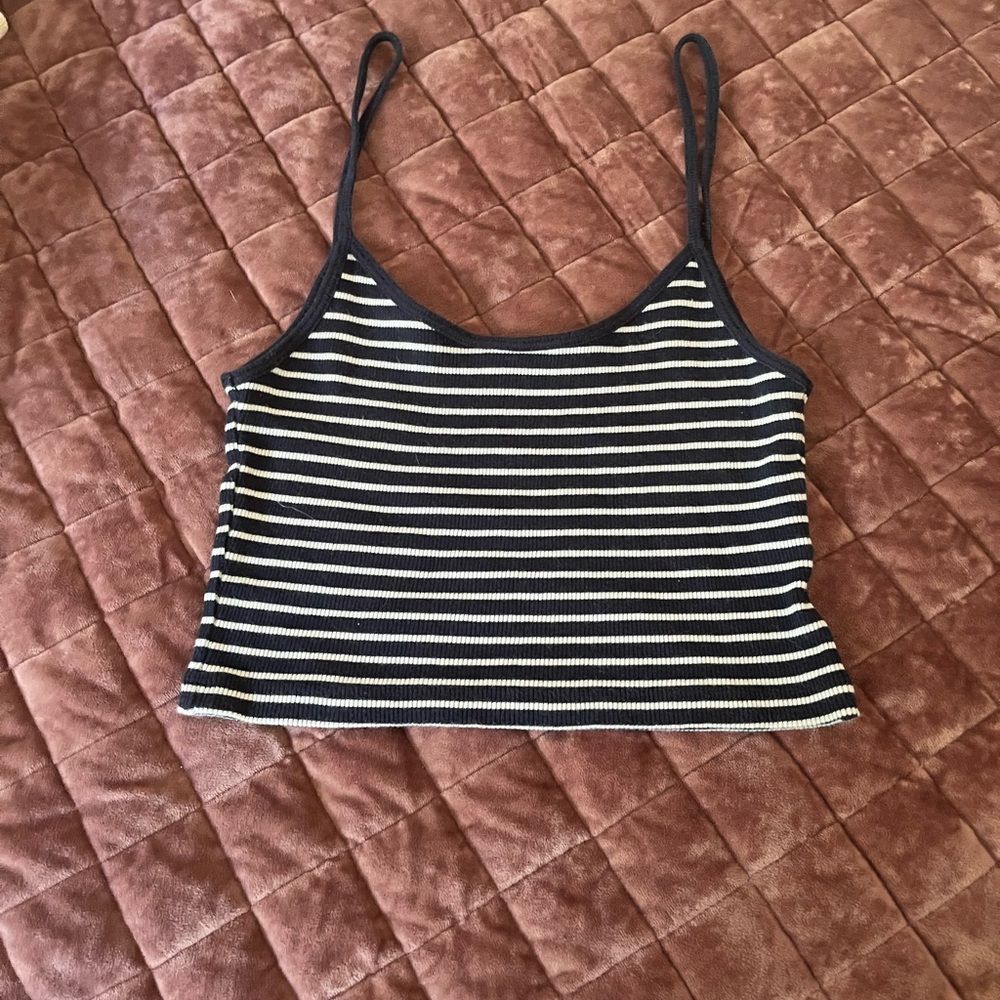 Brandy Melville Navy and White Striped Crop Top
